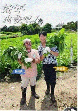 推理研究所 天马影视推理综艺